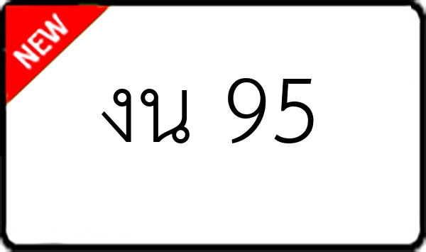 งน 95